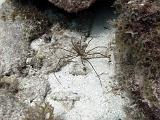 2011-09-11 14-43-13 Steven